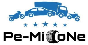 PeMiCone-logo